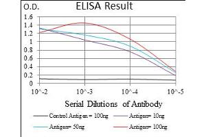 Fig. (SLUG Antikörper  (AA 100-200))