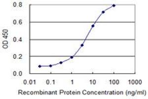 Detection limit for recombinant GST tagged ZNF281 is 0. (ZNF281 Antikörper  (AA 787-893))