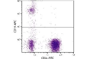 Human peripheral blood lymphocytes were stained with Mouse Anti-Human CD19-APC. (CD19 Antikörper  (APC))