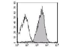 Image no. 1 for anti-Ret Proto-Oncogene (RET) (AA 29-635) antibody (ABIN6769310) (Ret Proto-Oncogene Antikörper  (AA 29-635))