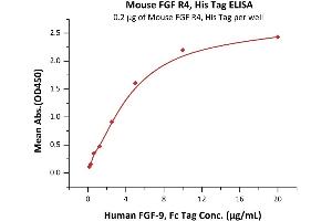 Immobilized Mouse FGF R4, His Tag (ABIN5954919,ABIN6253584) at 2 μg/mL (100 μL/well) can bind Human FGF-9, Fc Tag (ABIN2181091,ABIN2181090) with a linear range of 0. (FGFR4 Protein (AA 17-366) (His tag))