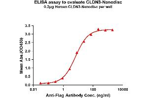 Elisa plates were pre-coated with Flag Tag C-Nanodisc (0. (Claudin 3 Protein (CLDN3))
