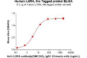 ELISA plate pre-coated by 2 μg/mL (100 μL/well) Human IL5RA Protein, His Tag (ABIN6961143, ABIN7042315 and ABIN7042316) can bind Anti-IL5RA antibody, IgG1 Chimeric mAb in a linear range of 0. (IL5RA Protein (AA 21-338) (His tag))