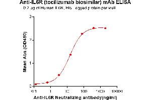 ELISA plate pre-coated by 2 μg/mL (100 μL/well) Human IL6R, His tagged protein ABIN6964085, ABIN7042425 and ABIN7042426 can bind Anti-IL6R Neutralizing antibody (ABIN7093060 and ABIN7272590) in a linear range of 0. (Rekombinanter IL-6R (Tocilizumab Biosimilar) Antikörper)