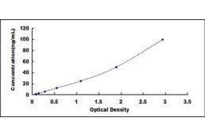 ELISA image for Lipopolysaccharide Binding Protein (LBP) ELISA Kit (ABIN6720569)