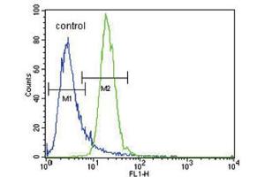 Flow Cytometry (FACS) image for anti-Protein Kinase, AMP-Activated, alpha 2 Catalytic Subunit (PRKAA2) antibody (ABIN2995875) (PRKAA2 Antikörper)