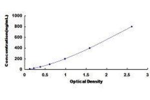 ELISA image for Hemoglobin ELISA Kit (ABIN1118092) (Hemoglobin ELISA Kit)