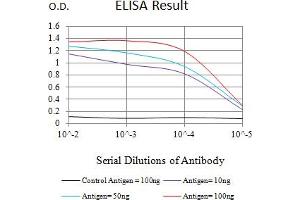 Black line: Control Antigen (100 ng),Purple line: Antigen (10 ng), Blue line: Antigen (50 ng), Red line:Antigen (100 ng) (Caspase 9 Antikörper  (AA 331-416))