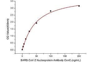 Immobilized Recombinant SARS-COV-2 Nucleocapsid (RP01264) at 1 μg/mL (100μL/well) can bind SARS-CoV-2 Nucleoprotein Antibody (ABIN7269053) with a linear range of 3. (Nucleoprotein Antikörper)