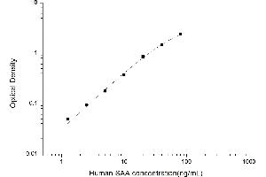 Typical standard curve (SAA ELISA Kit)
