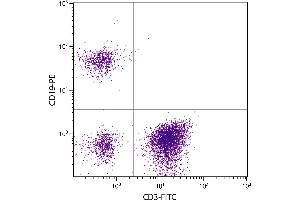 Human peripheral blood lymphocytes were stained with Mouse F(ab’)2 Anti-Human CD19-PE. (CD19 Antikörper)