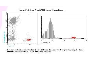 Image no. 1 for anti-CD19 Molecule (CD19) antibody (PE) (ABIN1112077) (CD19 Antikörper  (PE))