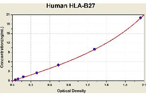 Diagramm of the ELISA kit to detect Human HLA-B27with the optical density on the x-axis and the concentration on the y-axis. (Leukocyte Antigen B27 ELISA Kit)