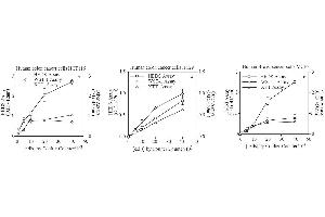 Image no. 6 for CellCountEZ™ Cell Survival Assay Kit (ABIN1607918)