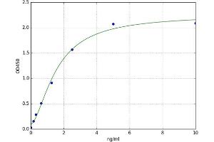 A typical standard curve (LIN7B ELISA Kit)