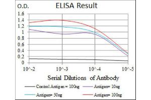 ELISA image for anti-Hexosaminidase A (HEXA) antibody (ABIN2970912) (Hexosaminidase A Antikörper)
