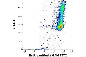 Flow cytometry multicolor intracellular staining pattern of BrdU incorporated K562 cellular suspension using anti-BrdU (Bu20a) purified antibody (concentration in sample 4 μg/mL, GAM FITC) and 7-AAD. (BrdU Antikörper)