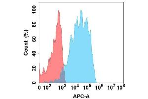 Flow cytometry analysis with Anti-HBEGF on Expi293 cells transfected with human HBEGF (Blue histogram) or Expi293 transfected with irrelevant protein (Red histogram). (HBEGF Antikörper)