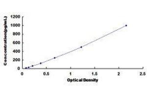 ELISA image for Chemokine (C-X-C Motif) Ligand 13 (CXCL13) ELISA Kit (ABIN417155) (CXCL13 ELISA Kit)