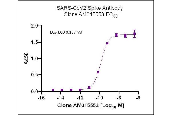 Rekombinanter SARS-CoV-2 Spike Antikörper