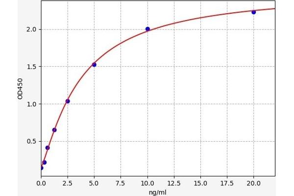 ETFB ELISA Kit