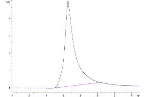 Size-exclusion chromatography-High Pressure Liquid Chromatography (SEC-HPLC) image for delta Like Protein 3 (DLL3) (AA 27-490) protein (His tag) (ABIN7274482)