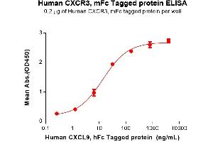 ELISA plate pre-coated by 2 μg/mL (100 μL/well) Human C Protein, mFc Tag (ABIN7455563, ABIN7491146 and ABIN7491147) can bind Human C Protein, hFc Tag (ABIN6964252, ABIN7042705 and ABIN7042706) in a linear range of 1. (CXCR3 Protein (AA 1-53) (mFc Tag))