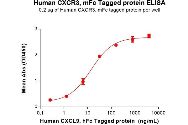 CXCR3 Protein (AA 1-53) (mFc Tag)