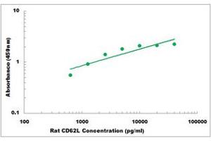 Representative Standard Curve (L-Selectin ELISA Kit)