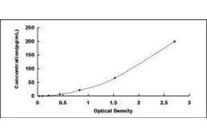 ELISA image for Prothrombin Fragment 1+2 (F1+2) ELISA Kit (ABIN6574193)