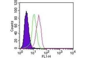 Flow Cytometry (FACS) image for anti-Nuclear Factor of kappa Light Polypeptide Gene Enhancer in B-Cells Inhibitor, alpha (NFKBIA) (Internal Region) antibody (ABIN6655971)