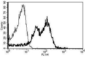 A typical staining pattern with the B-D15 monoclonal antibody of lymphocytes (ITGB1 Antikörper)