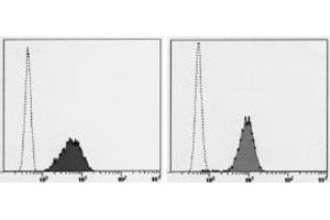 Flow Cytometry (FACS) image for anti-Transferrin Receptor (p90, CD71) (TFRC) antibody (FITC) (ABIN1449272) (Transferrin Receptor Antikörper  (FITC))