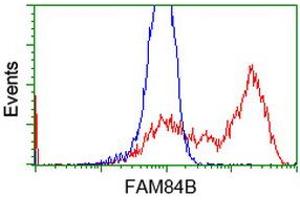 Flow Cytometry (FACS) image for anti-Family with Sequence Similarity 84, Member B (FAM84B) antibody (ABIN1498206) (FAM84B Antikörper)