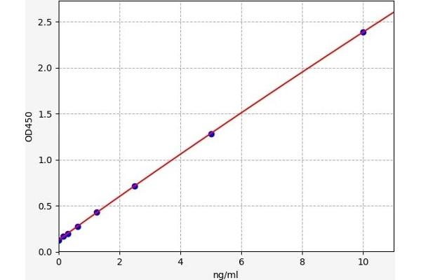 CYGB ELISA Kit