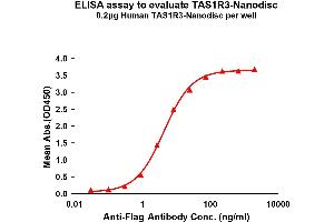 Elisa plates were pre-coated with Flag Tag R3-Nanodisc (0. (TAS1R3 Protein)