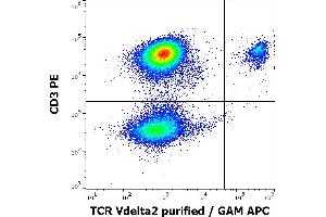 Flow cytometry multicolor surface staining pattern of human lymphocytes using anti-human TCR Vdelta2 (B6) purified antibody (concentration in sample 0,3 μg/mL, GAM APC) and anti-human CD3 (UCHT1) PE antibody (4 μL reagent / 100 μL of peripheral whole blood). (TCR, V delta 2 Antikörper)