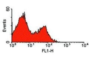 Flow Cytometry (FACS) image for anti-ADP-Ribosyltransferase 2b (Art2b) antibody (ABIN2477498) (ART2.2/Art2b Antikörper)