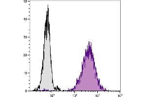 DBA/2 mouse mastocytoma cell line P815 and mB7. (CD80 Antikörper  (PE))