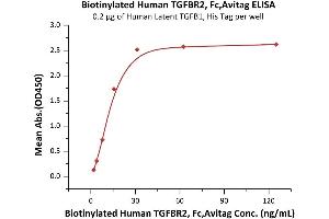 Immobilized Human Latent TGFB1, His Tag (ABIN4949126,ABIN4949127) at 2 μg/mL (100 μL/well) can bind Biotinylated Human TGFBR2, Fc,Avitag (ABIN6973281) with a linear range of 2-16 ng/mL (QC tested). (TGFBR2 Protein (AA 23-159) (Fc Tag,AVI tag,Biotin))