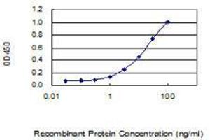 ELISA image for anti-Cyclin-Dependent Kinase 6 (CDK6) (AA 3-99) antibody (ABIN560298)