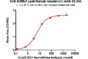 ELISA plate pre-coated by 1 μg/mL (100 μL/well) Human , His tagged protein ABIN6961140, ABIN7042309 and ABIN7042310 can bind Anti- Neutralizing antibody (ABIN7093074 and ABIN7272604) in a linear range of 0. (Rekombinanter HER3 (Patritumab Biosimilar) Antikörper)