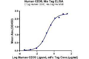 ELISA image for Tumor Necrosis Factor Receptor Superfamily, Member 8 (TNFRSF8) (AA 19-379) protein (His-Avi Tag) (ABIN7274157)