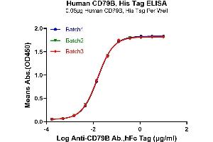 ELISA image for CD79b Molecule, Immunoglobulin-Associated beta (CD79B) (AA 29-159) protein (His-Avi Tag) (ABIN7274234)