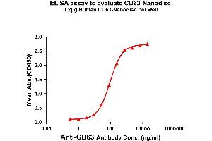 Elisa plates were pre-coated with Flag Tag CD63-Nanodisc (0. (CD63 Protein (CD63))