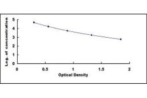 Typical standard curve (IgA Secretory Component ELISA Kit)