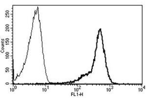 Flow Cytometry (FACS) image for anti-CD44 (CD44) antibody (FITC) (ABIN1106384) (CD44 Antikörper  (FITC))