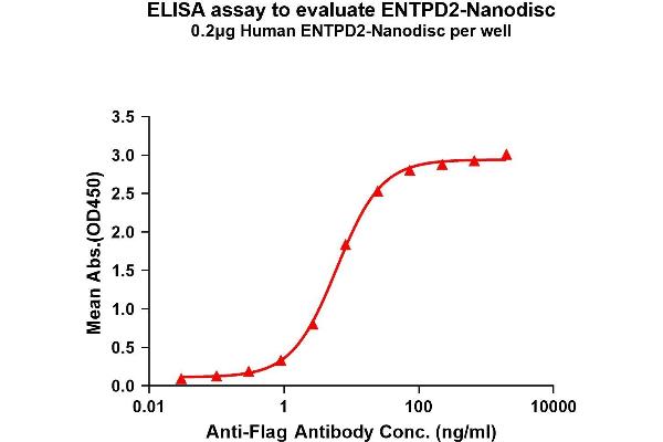 ENTPD2 Protein