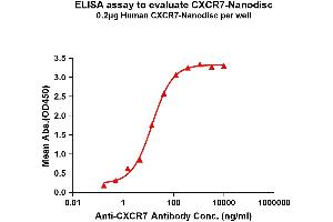 Elisa plates were pre-coated with Flag Tag C-Nanodisc (0. (CXCR7 Protein)