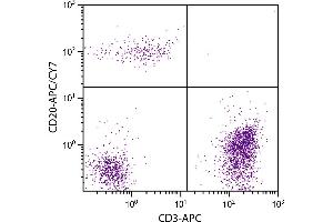 Human peripheral blood lymphocytes were stained with Mouse Anti-Human CD20-APC/CY7. (CD20 Antikörper  (APC-Cy7))